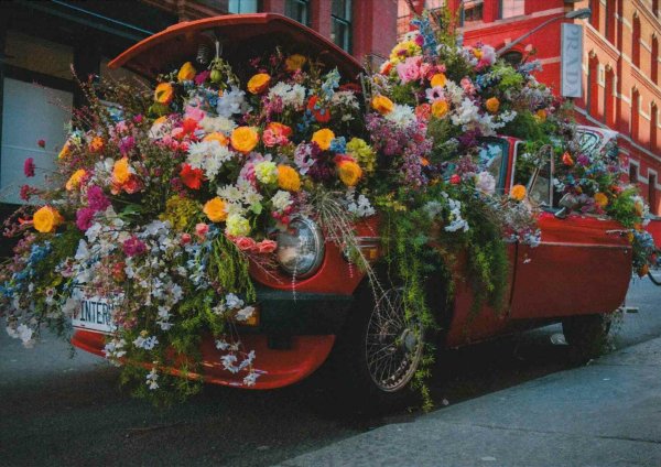 автомобиль с цветами