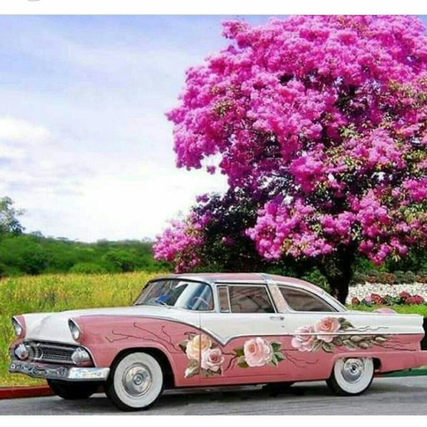 розовый кадиллак