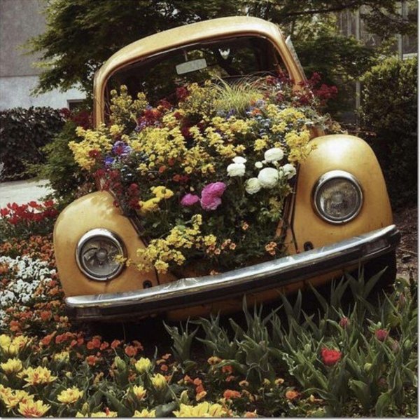 машина клумба