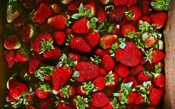 клубника сочная