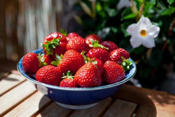 клубника сорт