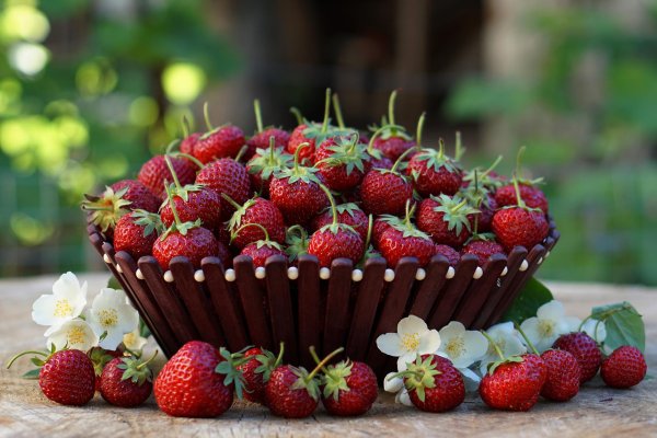 лето клубника