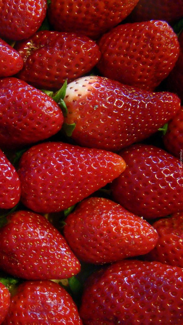 клубника крупная