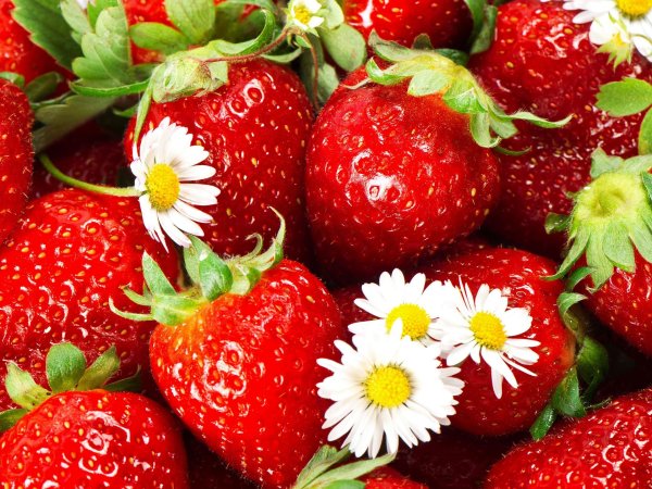 клубника крупная