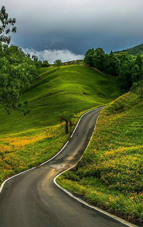 извилистая тропа