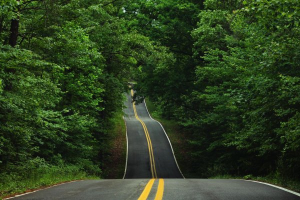 северная каролина природа шоссе