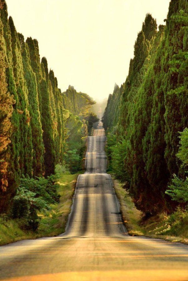 болгери тоскана