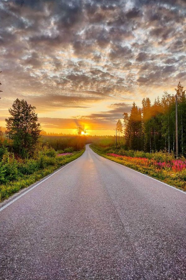 пейзаж с дорогой