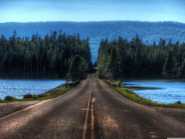 природа дорога