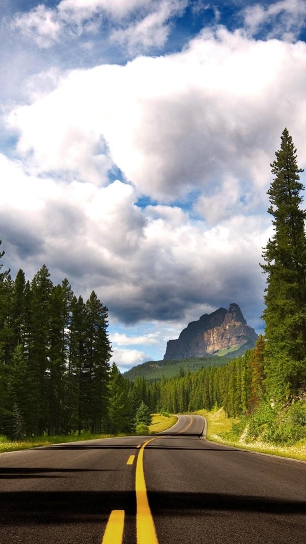 природа с дорогой