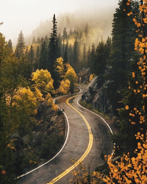 осень дорога