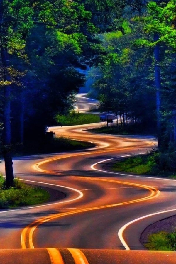 извилистая дорога