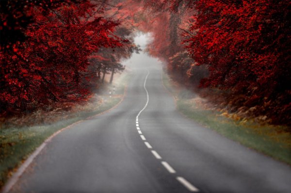 осенняя дорога