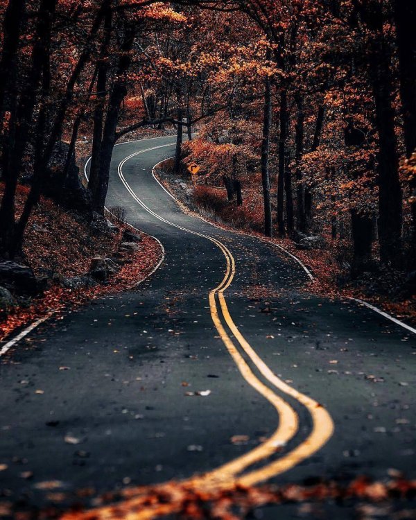 осенняя дорога