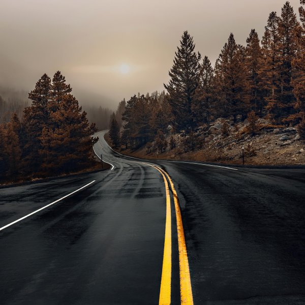 красивые дороги