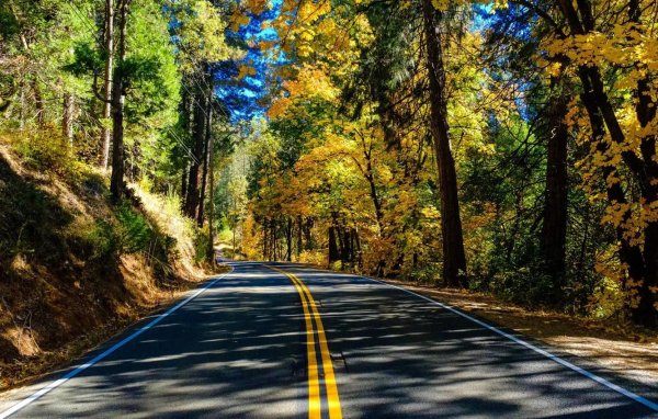 осенняя дорога