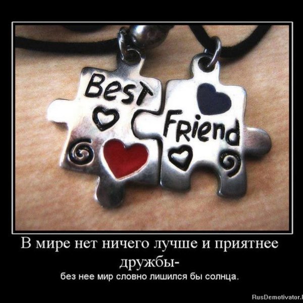друзья навеки