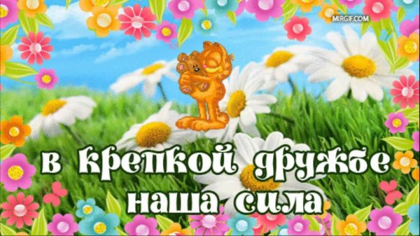 наша дружба наша сила