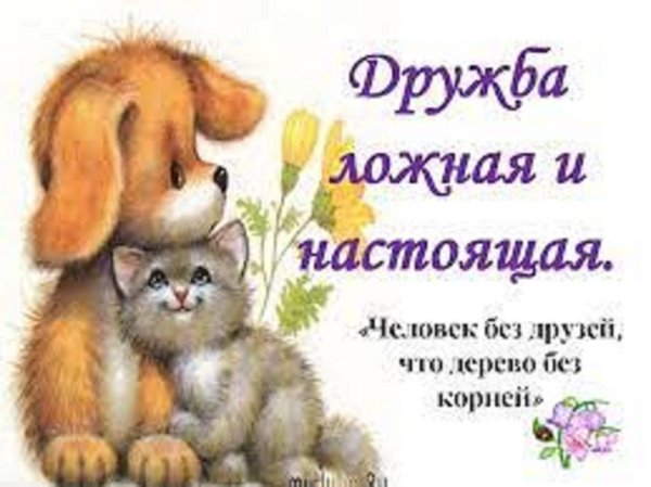 мой настоящий друг