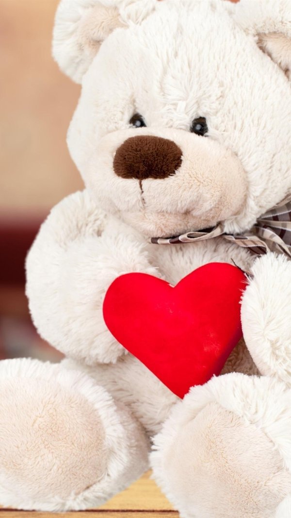 красивые мишки