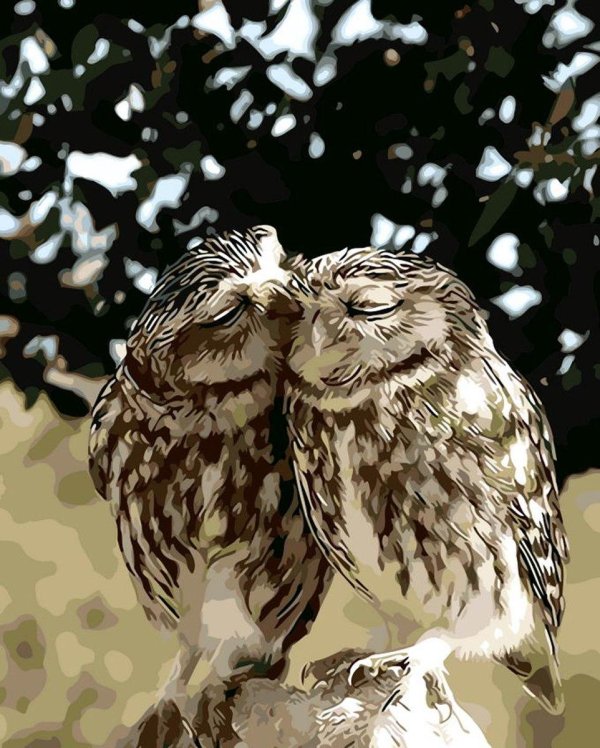 сова филин сыч