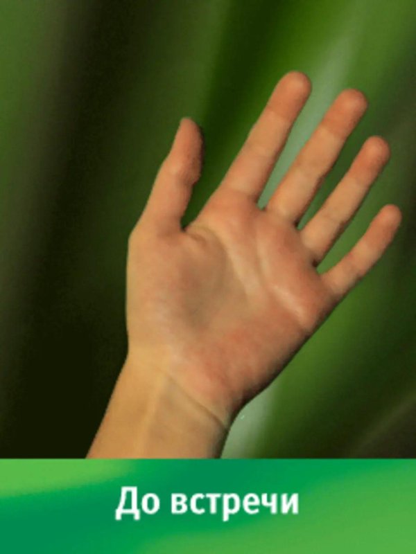 до встречи