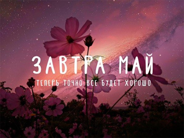 ночные цветы