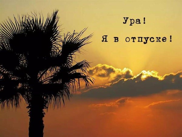 мы в отпуске