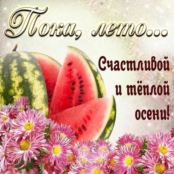 летние открытки