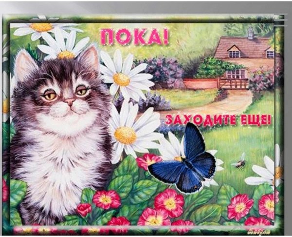 кошка картина