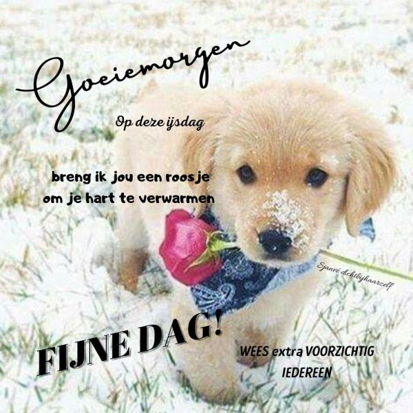 моему другу