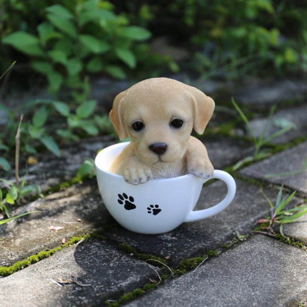 собачки teacup