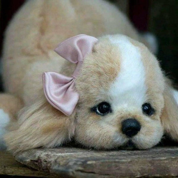 щеночек милый