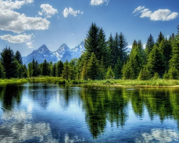 горы лес озеро