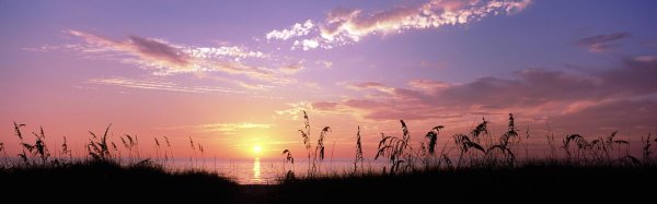 поле на закате