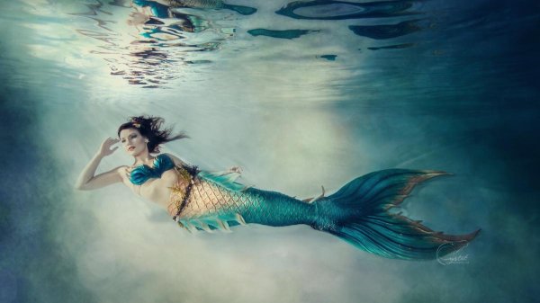 самые красивые русалки