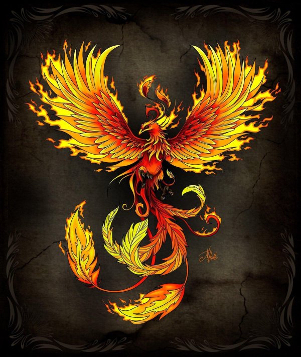 феникс древнегреческая мифология