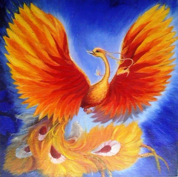 жарптица жарптица и василисацаревна