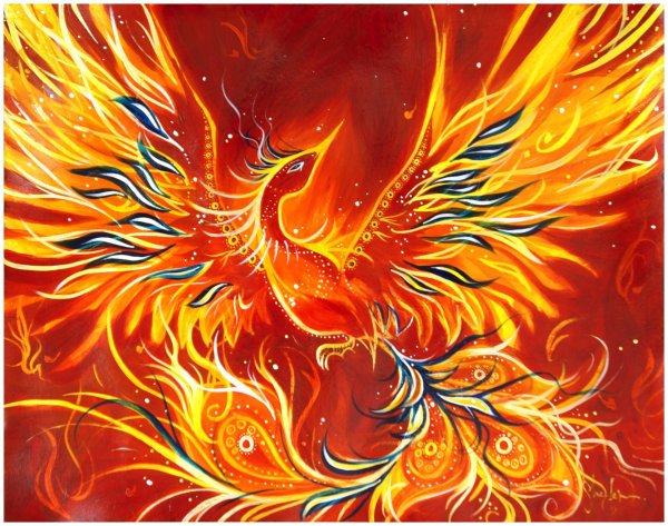 желтый феникс