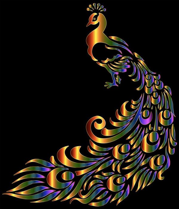 трафарет павлина