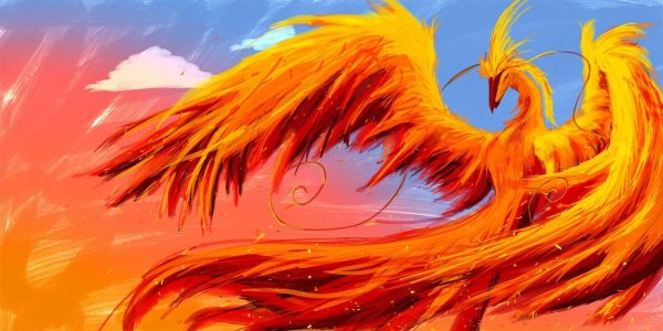 феникс огненный