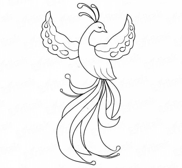 рисунки жар птицы