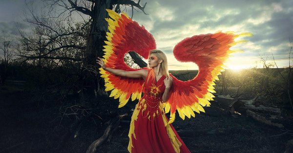 птица феникс