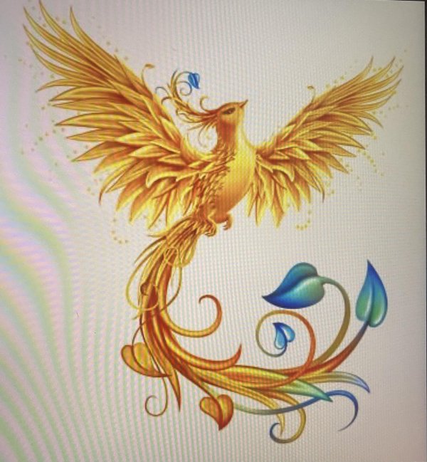 эскиз жар птицы