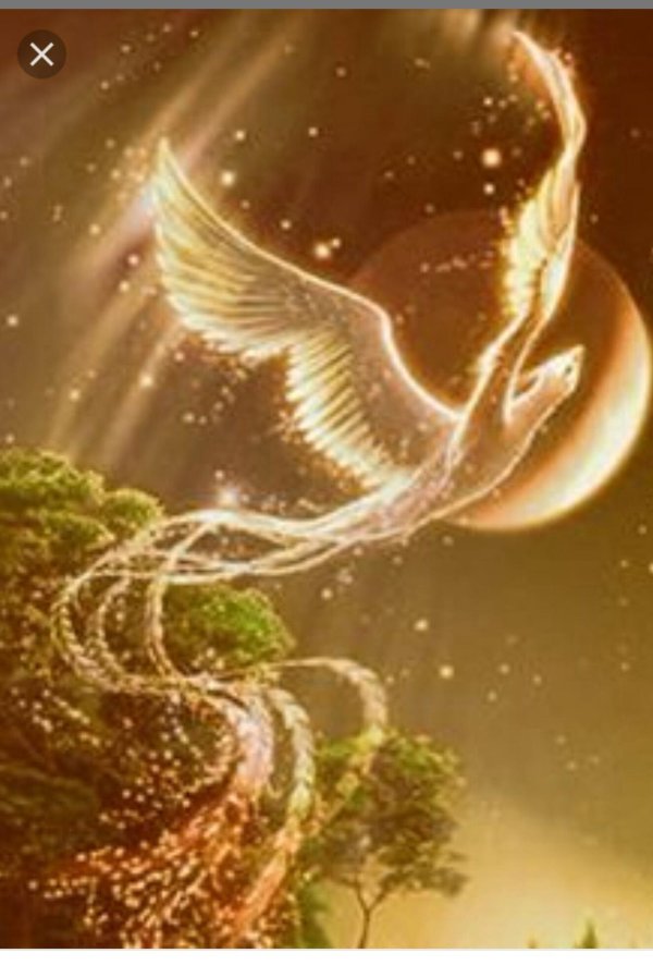 волшебная птица