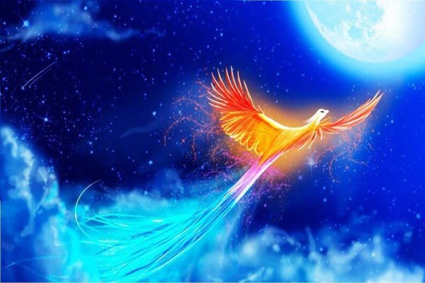 птицы феникс