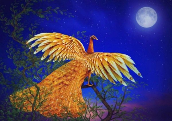 жарптица жарптица и василисацаревна