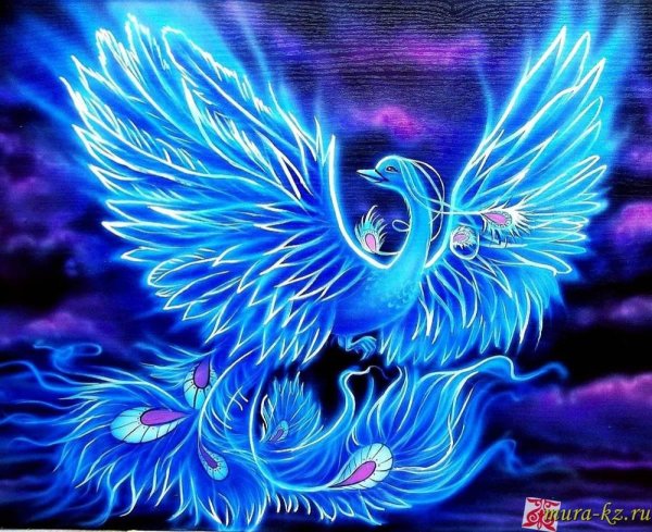 птица удачи