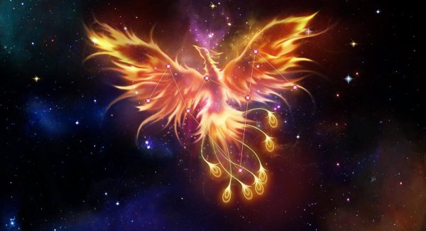 созвездие феникс