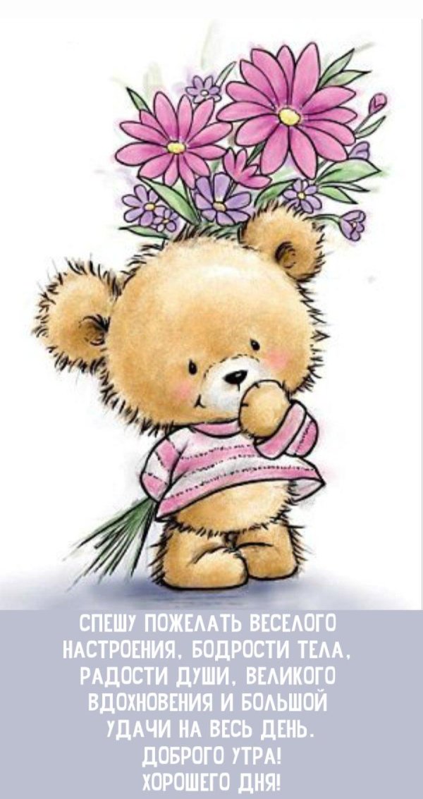 открытка с мишкой